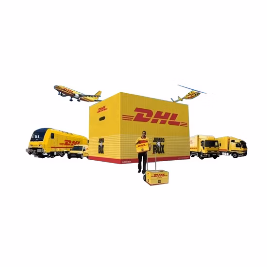 Agente di spedizione DDP/DDU Amazon Fba Spedizioniere dalla Cina alla Malesia