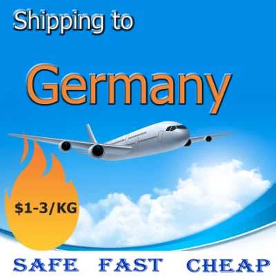 DDU DDP Drop Shipping dalla Cina alla Germania/Germania Amazon Fba